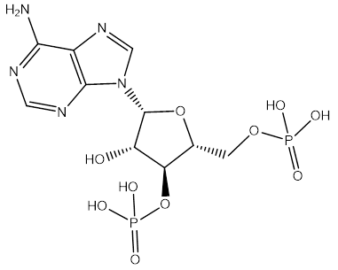 Adenosine Impurity 3